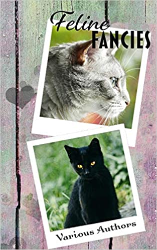 A pastel wood background has two polaroids of cats on them, one black cat with gold eyes and one grey cat with green eyes looking to the side. In black it says Feline Fancies Various Authors.